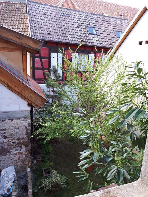 Appartamento Chez Noah Le Vigneron Ribeauvillé Esterno foto