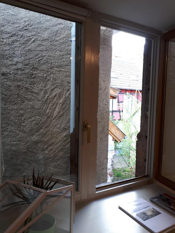 Appartamento Chez Noah Le Vigneron Ribeauvillé Esterno foto